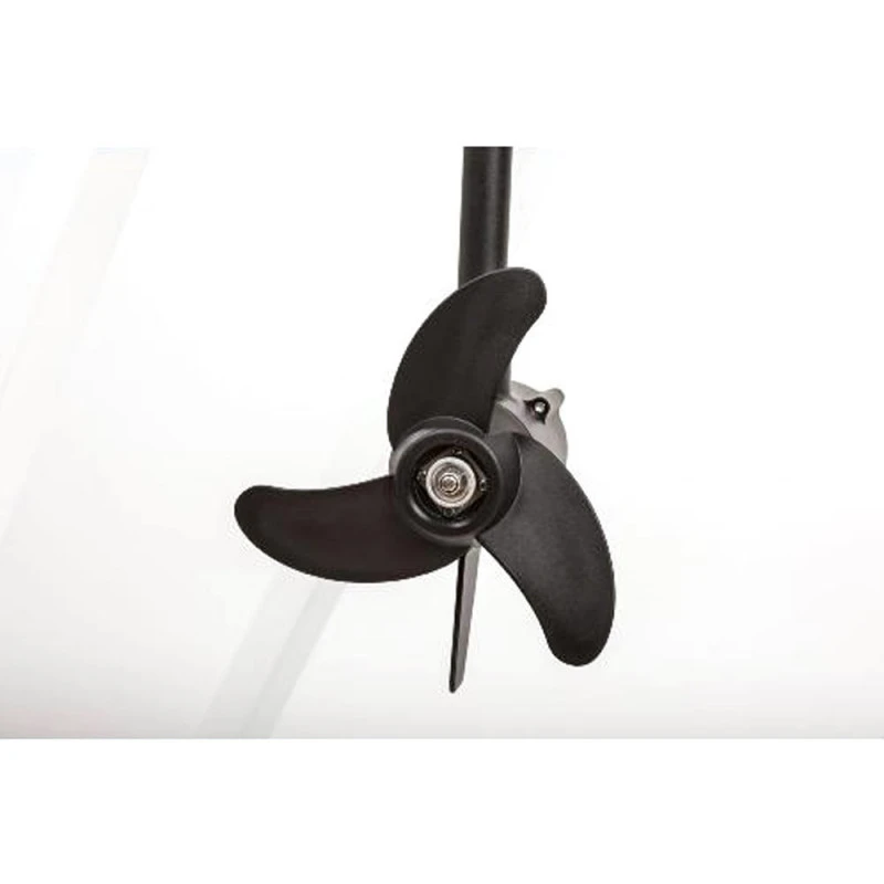 MOTEUR HASWING PROTRUAR 1.0 65 LBS 12V 2CV – Image 4